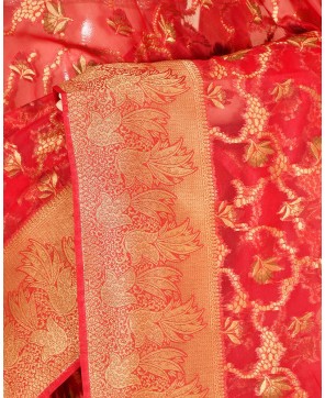 Red Banarasi Kora Alfi Jaal Banarasi Saree