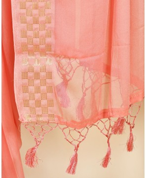 Strawberry Chinon Checks Border Saree