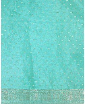 Sea Green Organza Alfi Jaal Banarasi Saree