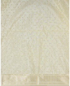 Cream Organza Alfi Jaal Banarasi Saree